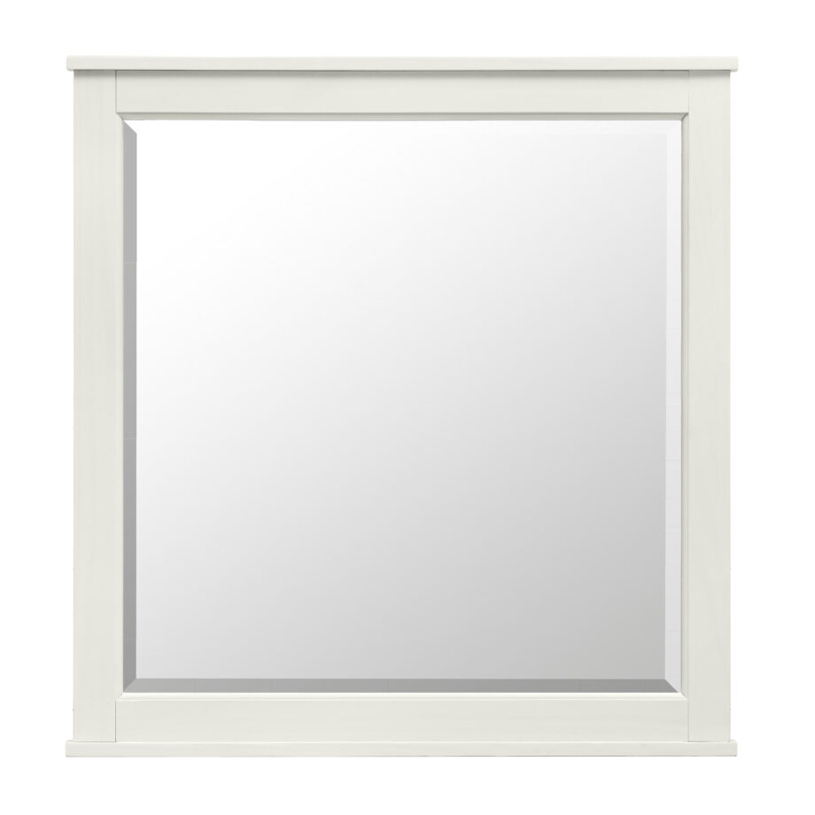 Tahoe Youth Mirror  | Sea Shell