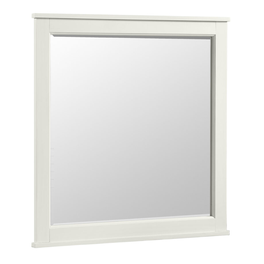 Tahoe Youth Mirror  | Sea Shell