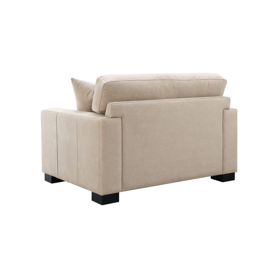 Dexter Double Chair w/2 Pillows