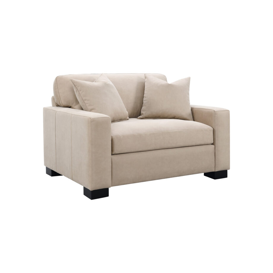 Dexter Double Chair w/2 Pillows