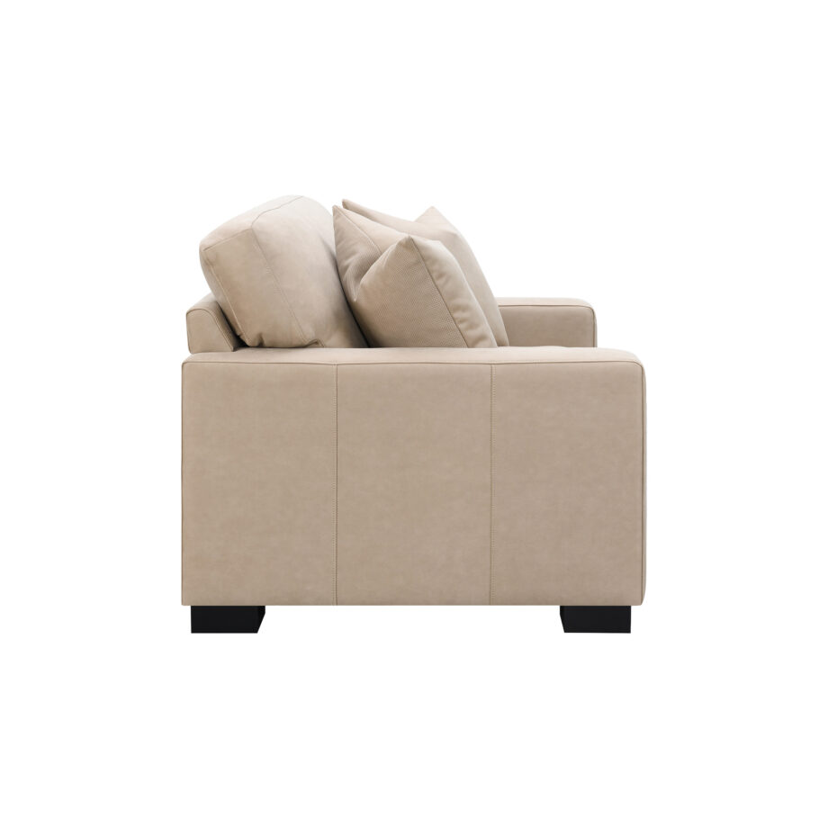Dexter Double Chair w/2 Pillows