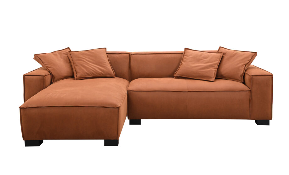 Carter Left Side Facing 68" Chaise